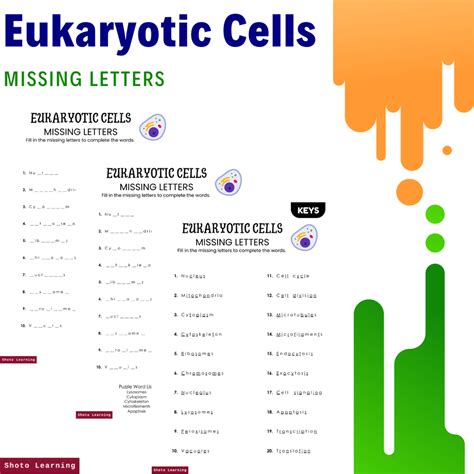 Eukaryotic Cell Missing Letter Worksheet Fun And Educational Activity