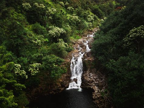 10 Best Maui Waterfalls That Unveil Nature's Majestic Beauty