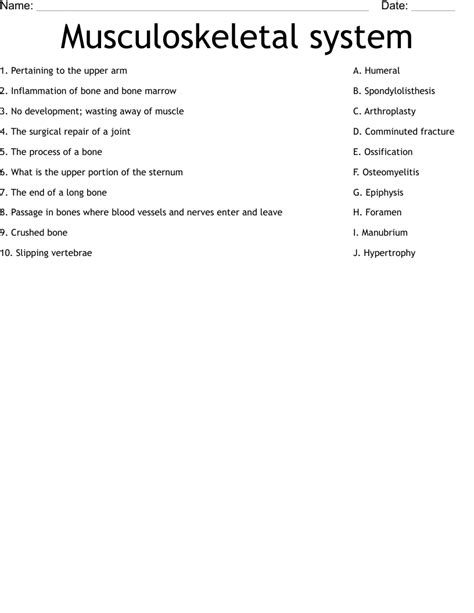 Musculoskeletal System Worksheet Wordmint