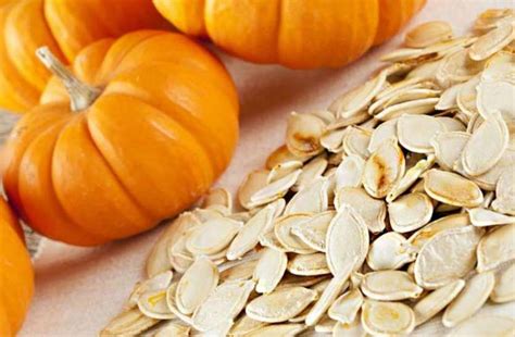 Pumpkin Seeds Nutrition Facts Know The Benefits Pumpkin Seeds