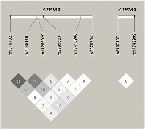 Common Variants Of Atp1a3 But Not Atp1a2 Are Associated With Chinese