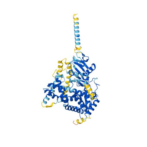 Rcsb Pdb Af Afq L H F Computed Structure Model Of Cytochrome P