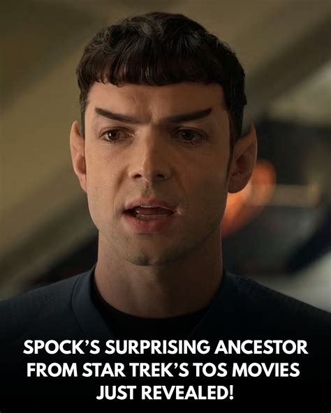 The Talbert estate just revealed a very surprising historical artifact 13