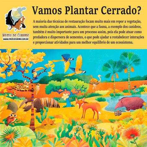 A importância da Fauna para o Cerrado Campanha Vamos plantar Cerrado