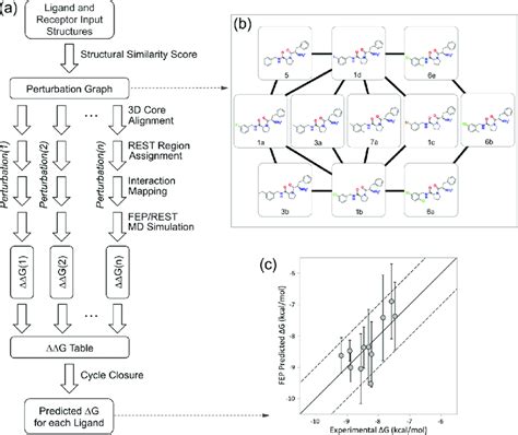 A Whole Fep Workflow For Proteinligand Binding Affinity