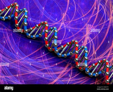 Dna Molecule Computer Illustration Showing A Double Stranded Dna Deoxyribonucleic Acid