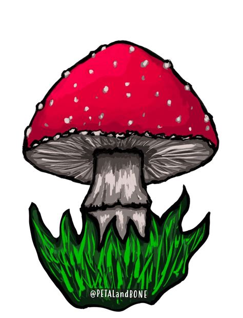 Fly Agaric Mushroom — Petal And Bone