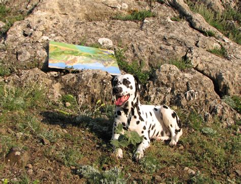 Что еще подарить человеку, у которого все есть? И что подарить ...