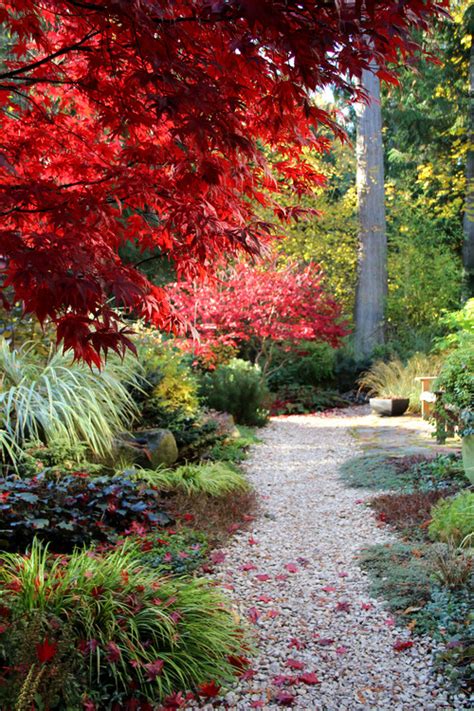 10 Autumn Backyards That Are Completely Awe Inspiring