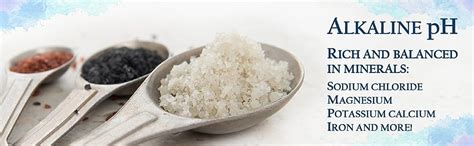 Celtic Sea Salt Flower Of The Ocean 3oz Shaker Natural Gourmet Sea