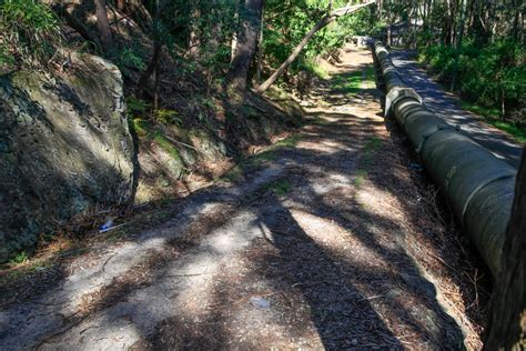 The Short Pipeline Track And Bungaroo Track Loop Hiking The World