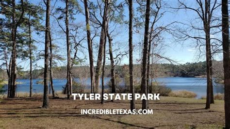 Top 8 Best State Parks In Texas With Cabins - Incredible Texas