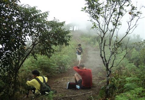 Go Hiking At Doi Inthanon Doing Exercise While Going Sightseeing