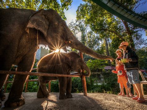 27 Best Things To Do In Hat Yai Top Activities And Attractions