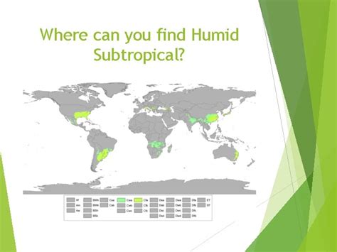 Humid Subtropical By Mr Rice Temperate Climate Is