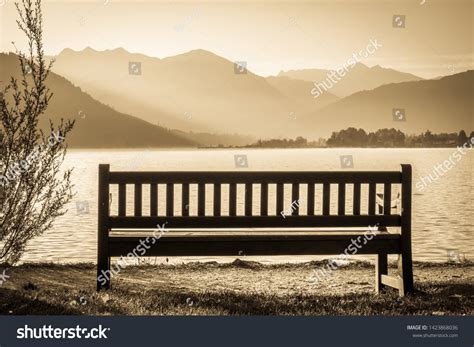 Old Park Bench Lake Stock Photo 1423868036 | Shutterstock