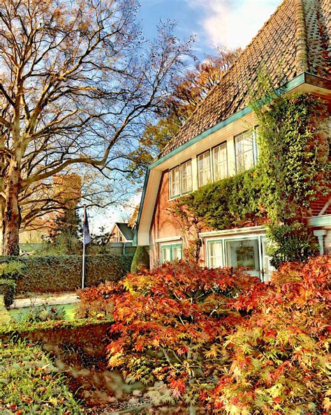 Solve Woerden Jigsaw Puzzle Online With 300 Pieces