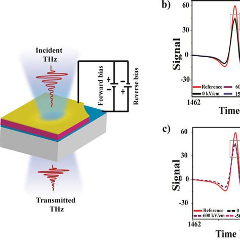 A Schematic Of The Applied Voltage Field Dependent Thz Tds