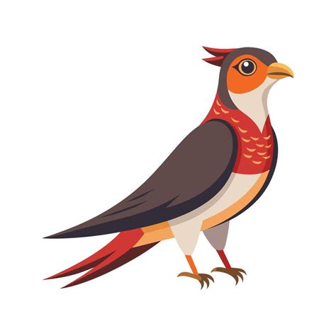 Charming Illustration Of Cuckoo Bird 58245500 Vector Art At Vecteezy