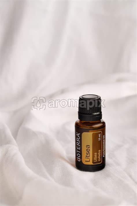 Stock photos of dōTERRA Litsea by Aromapix