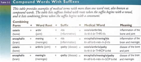 Chapter 2 Suffixes Flashcards Quizlet