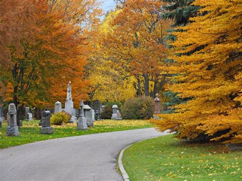 Cemetery with fall colors stock image. Image of gravestone - 131104165