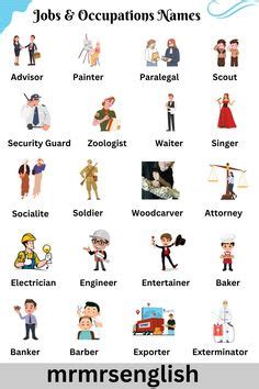 Jobs And Occupations Names In English And Their Images In 2024