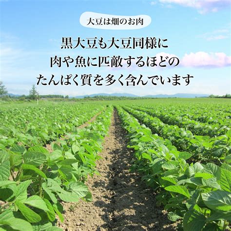 【楽天市場】大粒光黒大豆 30上 850グラム 令和5年収穫 北海道産 【送料無料】 大粒 光黒大豆 北海黒大豆 国産黒大豆 乾燥黒大豆 光