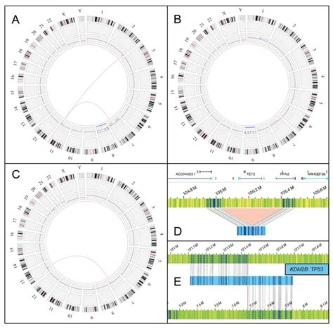 Optical Genome Mapping Selected Cases Circos Plot And Sv Analysis A