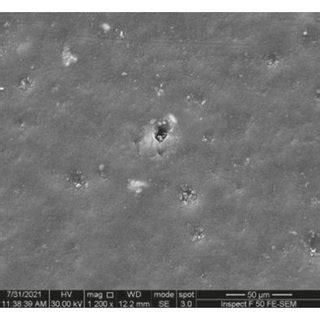 SEM Micrographs Of A Bare Bioepoxy B Bioepoxy 1wt Al2O3 AgNps