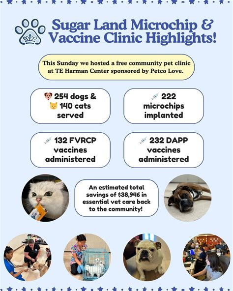 sugar land animal services 5