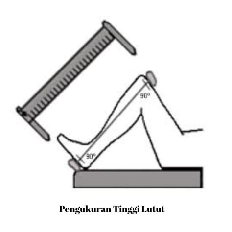 Estimasi Tinggi Badan Dengan Pengukuran Tinggi Lutut Informasi