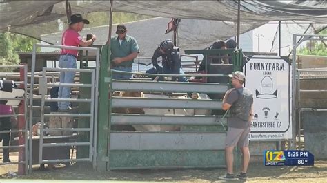 Gary Leffew S Bull Riding School Takes The Sport To New Levels Youtube