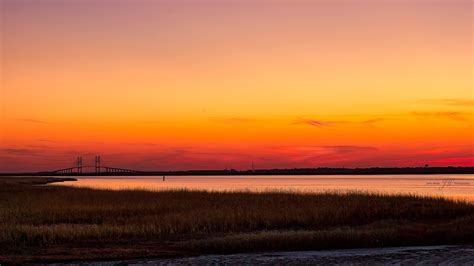 Sidney Lanier Bridge | Nikon Cafe