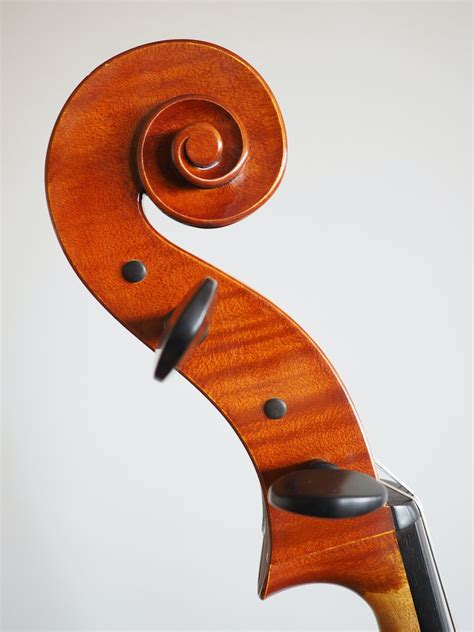 Cello Based On The Model Of The Stauffer Ex Christiani Antonio