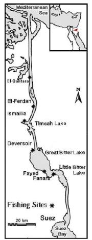 Map of the Suez Canal showing the locations of the six fishing sites ...