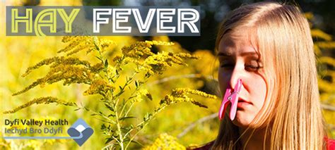 How To Combat Hay Fever Dyfi Valley Health