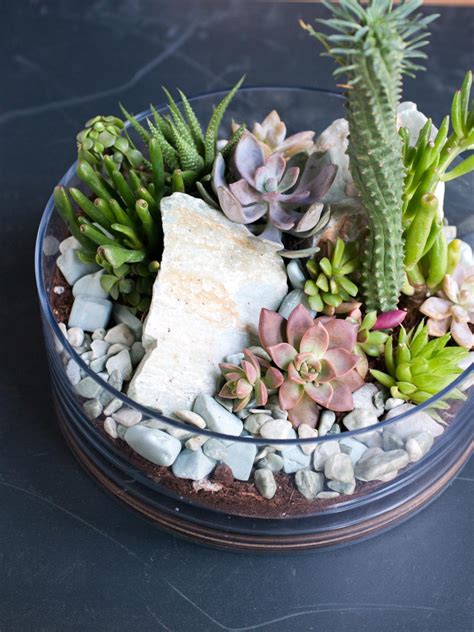 How To Make A Tabletop Succulent Terrarium Diy Network Blog Made