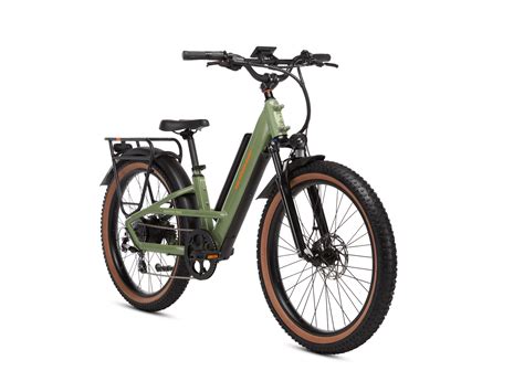 Rad Power Bikes | Radster™ Trail Electric Off-Road Bike | Large / Fir ...