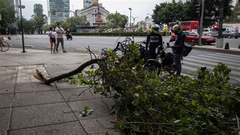 Fuertes Vientos Lluvia Y Granizo En Cdmx Activan Alerta Por Posible Caída De árboles En 16