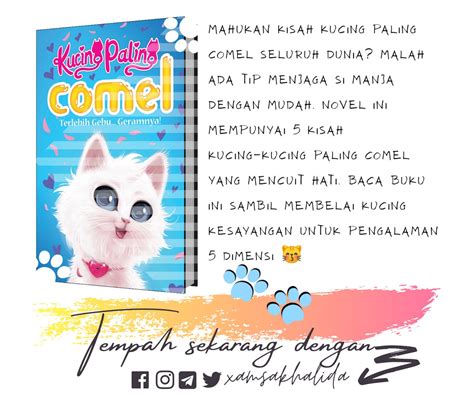 Gebu Gambar Kucing Comel Dan Manja Koleksi Gambar Kucing Comel Gebu