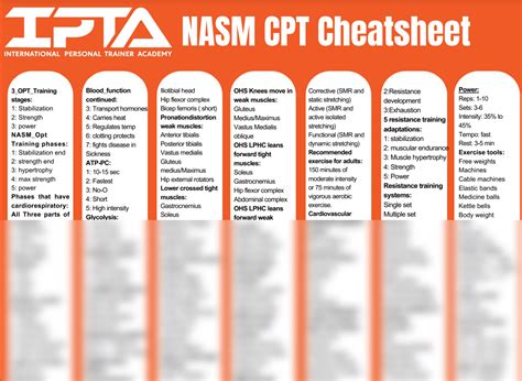 Free Nasm Cpt Cheat Sheet Reduce Study Time Significantly