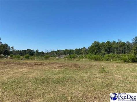 22.05 Acres of Land for Sale in Latta, South Carolina - LandSearch