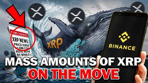 Ripple Xrp News Breaking Massive Xrp On The Move Key Numbers