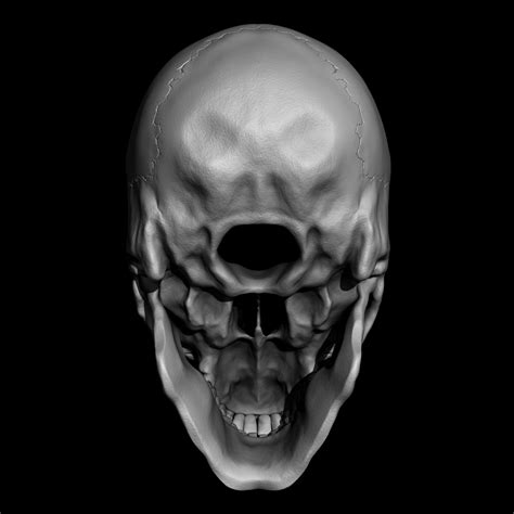 Stl File Human Skull・3d Print Model To Download・cults