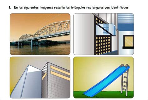 Solved Siguientes Im Genes Resalta Los Tri Ngulos Rect Ngulos Que