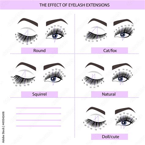 Eyelash Extension Guide Direction Schemes Tips And Tricks For Eyelash Extension Infographic