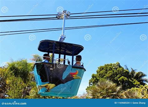 Skyfari Aerial Tram, San Diego Zoo Editorial Stock Image - Image of ...