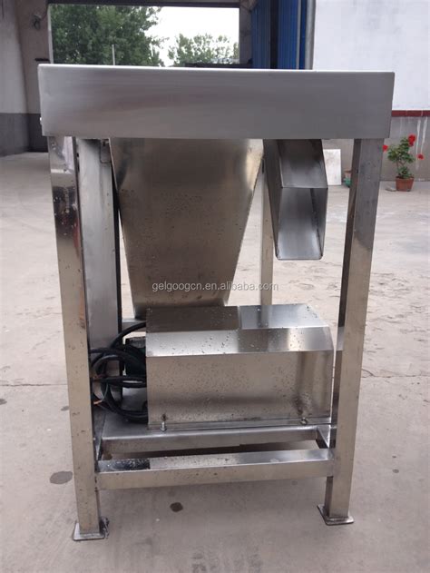 Poultry Gizzard Peeling Machine Turkey Gizzard Peeler Machine Stainless