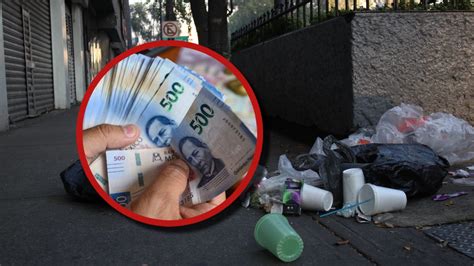 Cuáles Son Las Multas Por Tirar Basura Guía Legal